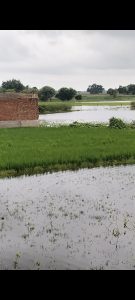 Screenshot_2025-09-01-13-45-20-17_92460851df6f172a4592fca41cc2d2e6