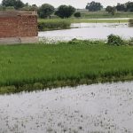 Screenshot_2025-09-01-13-45-20-17_92460851df6f172a4592fca41cc2d2e6