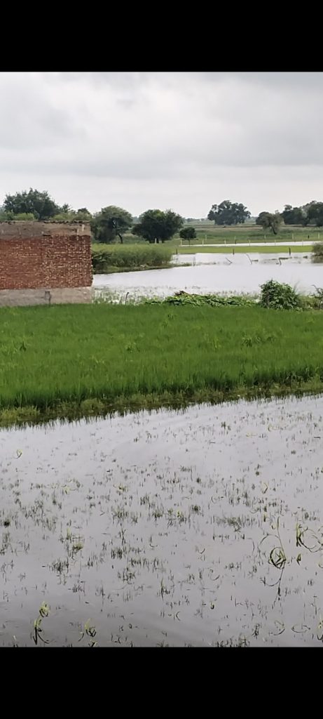 Screenshot_2025-09-01-13-45-20-17_92460851df6f172a4592fca41cc2d2e6