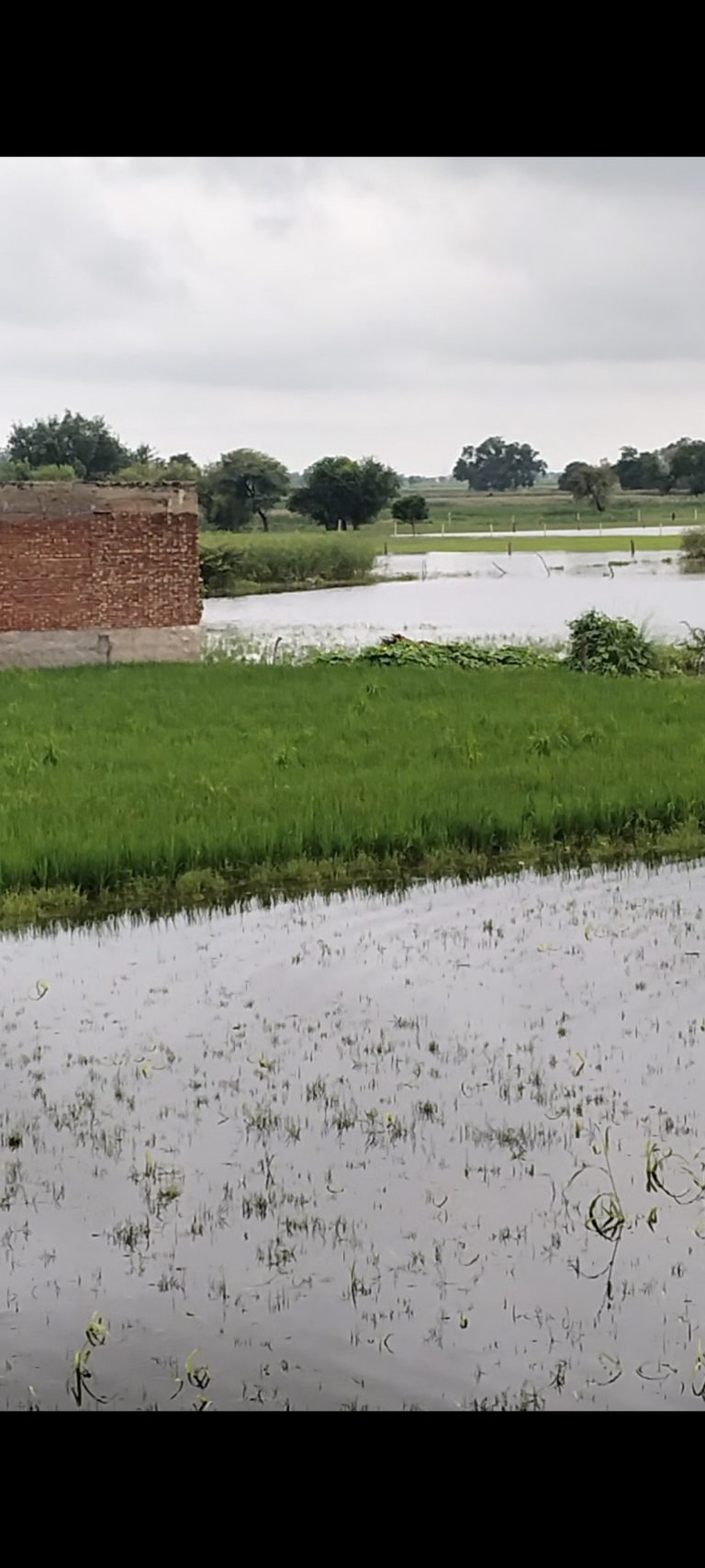 Screenshot_2025-09-01-13-45-20-17_92460851df6f172a4592fca41cc2d2e6